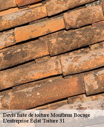 Devis fuite de toiture  montbrun-bocage-31310 L'entreprise Éclat Toiture 31
