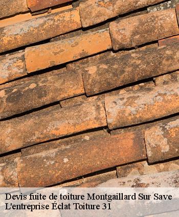 Devis fuite de toiture  montgaillard-sur-save-31350 L'entreprise Éclat Toiture 31