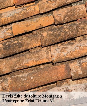 Devis fuite de toiture  montgazin-31410 L'entreprise Éclat Toiture 31