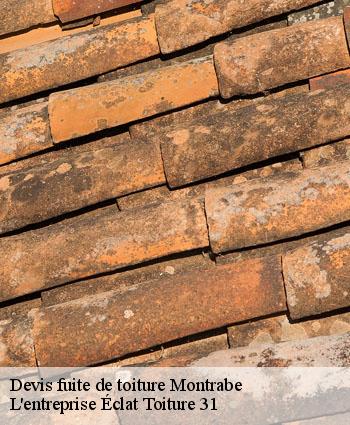 Devis fuite de toiture  montrabe-31850 L'entreprise Éclat Toiture 31