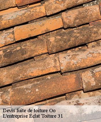 Devis fuite de toiture  oo-31110 L'entreprise Éclat Toiture 31