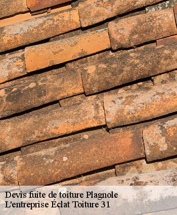 Devis fuite de toiture  plagnole-31370 L'entreprise Éclat Toiture 31