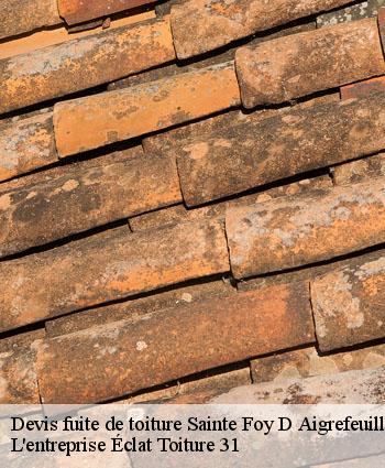 Devis fuite de toiture  sainte-foy-d-aigrefeuille-31570 L'entreprise Éclat Toiture 31