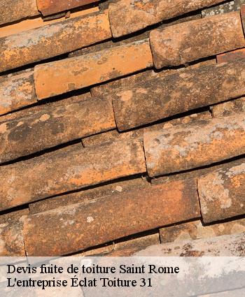 Devis fuite de toiture  saint-rome-31290 L'entreprise Éclat Toiture 31