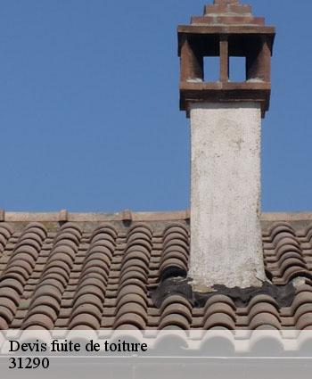 Devis fuite de toiture  saint-rome-31290 L'entreprise Éclat Toiture 31