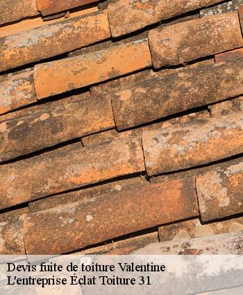 Devis fuite de toiture  valentine-31800 L'entreprise Éclat Toiture 31